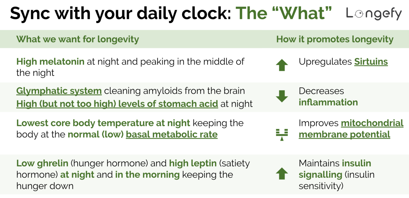 Sync with you daily clock: the “What”