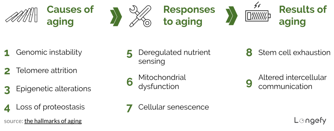 Longevity series: why humans age and how to reverse or at least minimize aging?